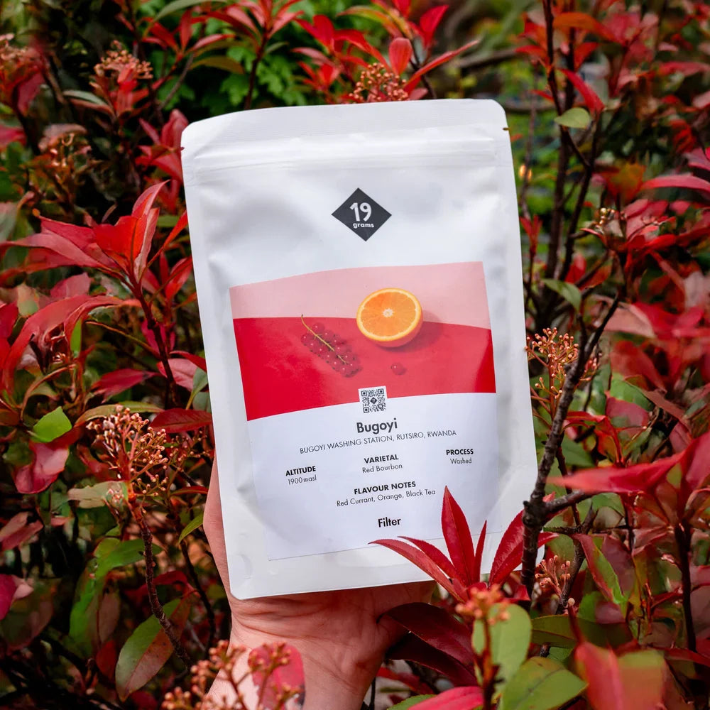 19grams Bugoyi Filterkaffee aus Ruanda