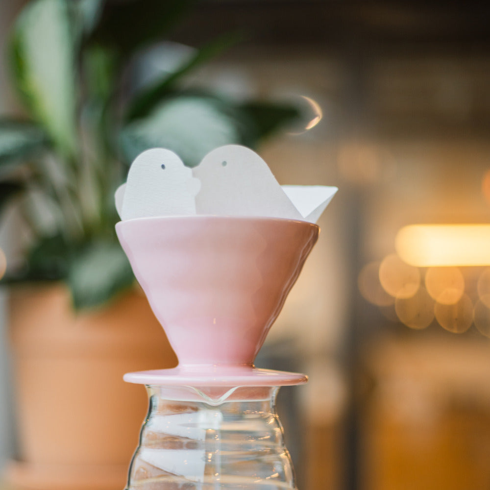 Hario V60 Papierfilter - Liebestauben
