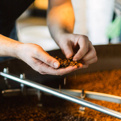 Einführung in Kaffeerösten Kurs