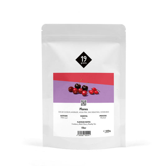19grams Planes Specialty Coffee Filter – Kaffeebeutel Produktmockup 250g Standbeutel, Single Origin aus Honduras (Pacas, washed) mit Aromen von Kirsche und Hagebutte, Kaffeerösterei Berlin