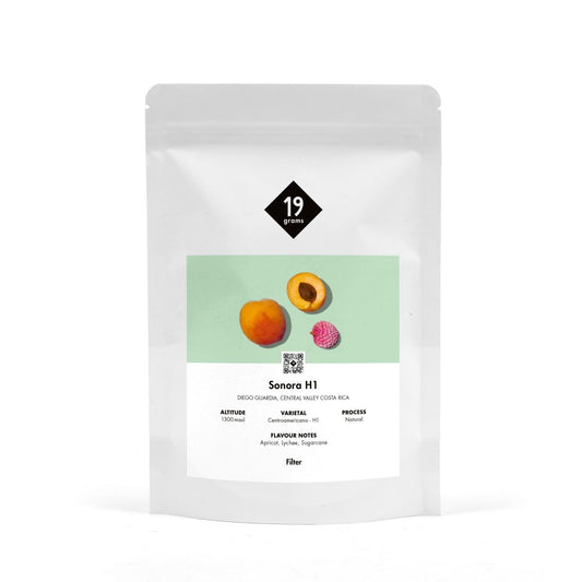 Sonara H1 Filter Kaffeebohnen aus Costa Rica